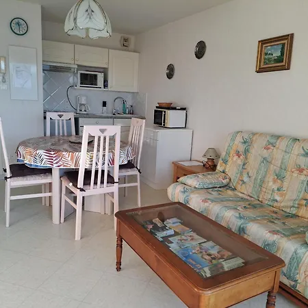 Daire 4 Pers, Balcon Sud, Animaux Admis - - Fr-1-482-176