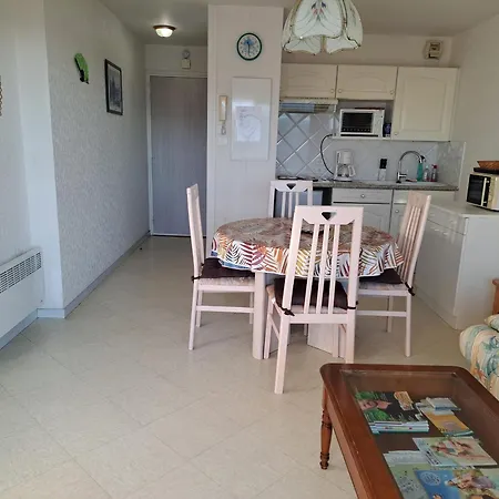 4 Pers, Balcon Sud, Animaux Admis - - Fr-1-482-176 Daire