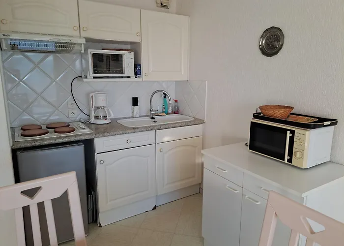 4 Pers, Balcon Sud, Animaux Admis - - Fr-1-482-176 Appartamento *